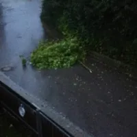 unwettereinsatze2018_12.jpg