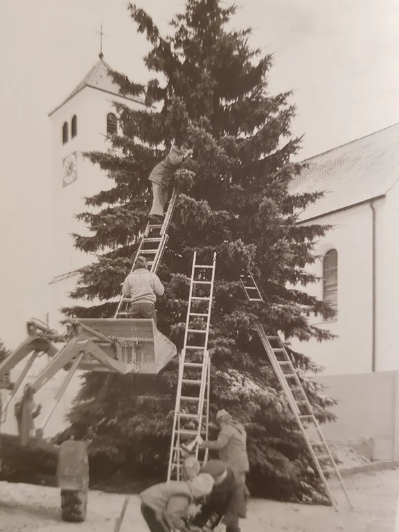 Christbaum.jpg